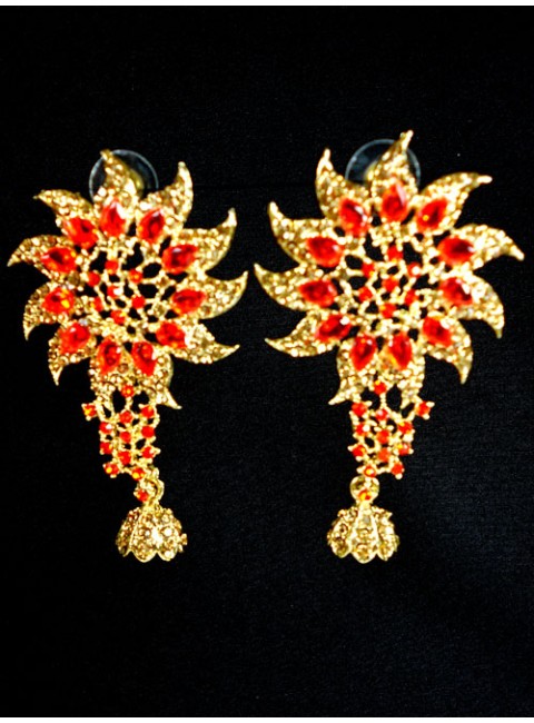 Fashion Earrings